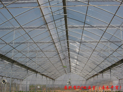 DM-80型PC板温室（通长开窗）