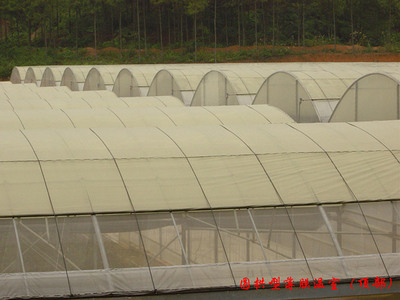 DM-80型薄膜温室