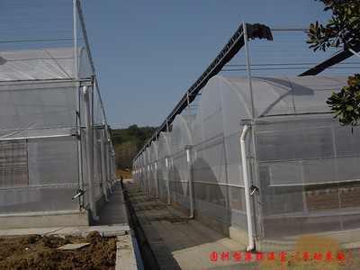 DM-80型薄膜温室（手动卷膜）