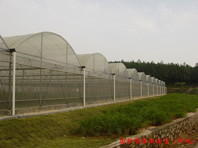 DM-80型薄膜温室（外观）