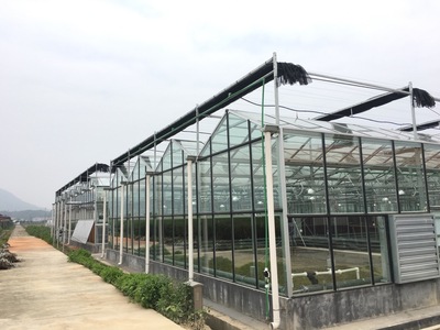 V-96型玻璃温室