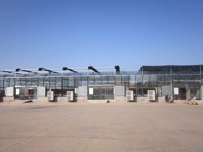 V-96BL科研型温室