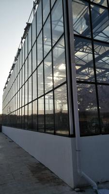 河南潢川生态餐厅温室