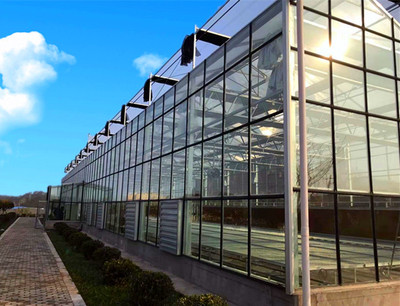 玻璃温室7