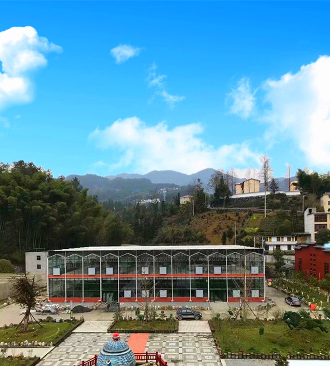 恩施金果茶业玻璃温室全景