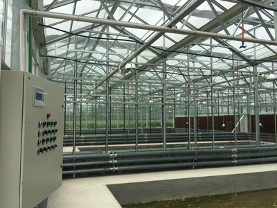 长沙麻类所温室1