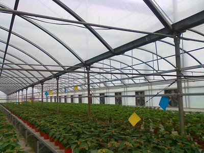 PC板温室