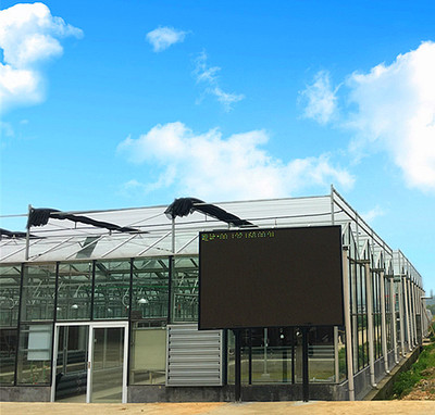 长沙麻类所温室